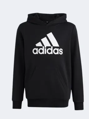 Adidas Eseentials Big Logo Kids-Unisex Sportswear Hoody Black/White