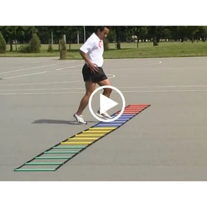 Multi-Coloured Ladder Online Video